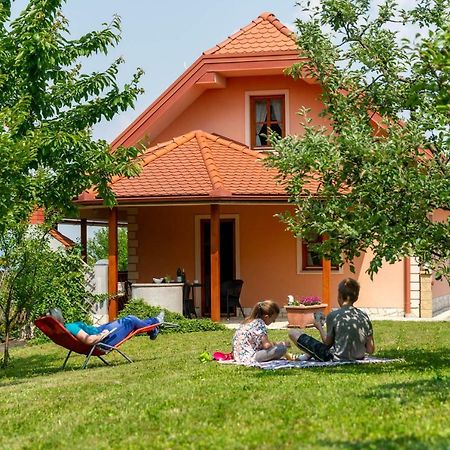 Planinca -Hisa Z Razgledom Appartement Smarje pri Jelsah Buitenkant foto