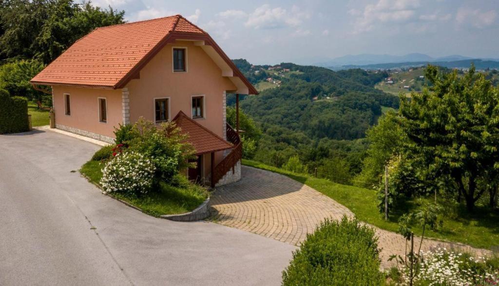 Planinca -Hisa Z Razgledom Appartement Smarje pri Jelsah Buitenkant foto