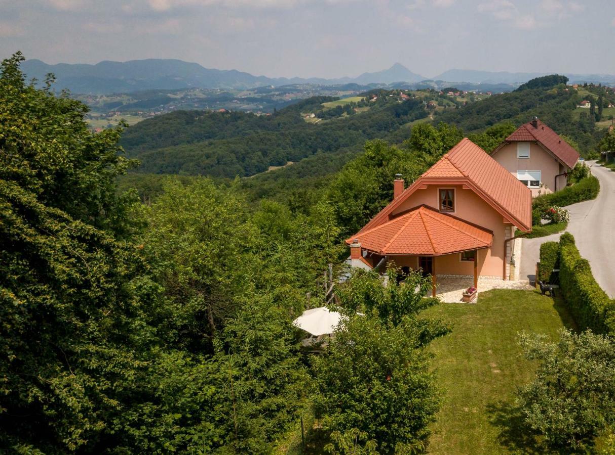 Planinca -Hisa Z Razgledom Appartement Smarje pri Jelsah Buitenkant foto