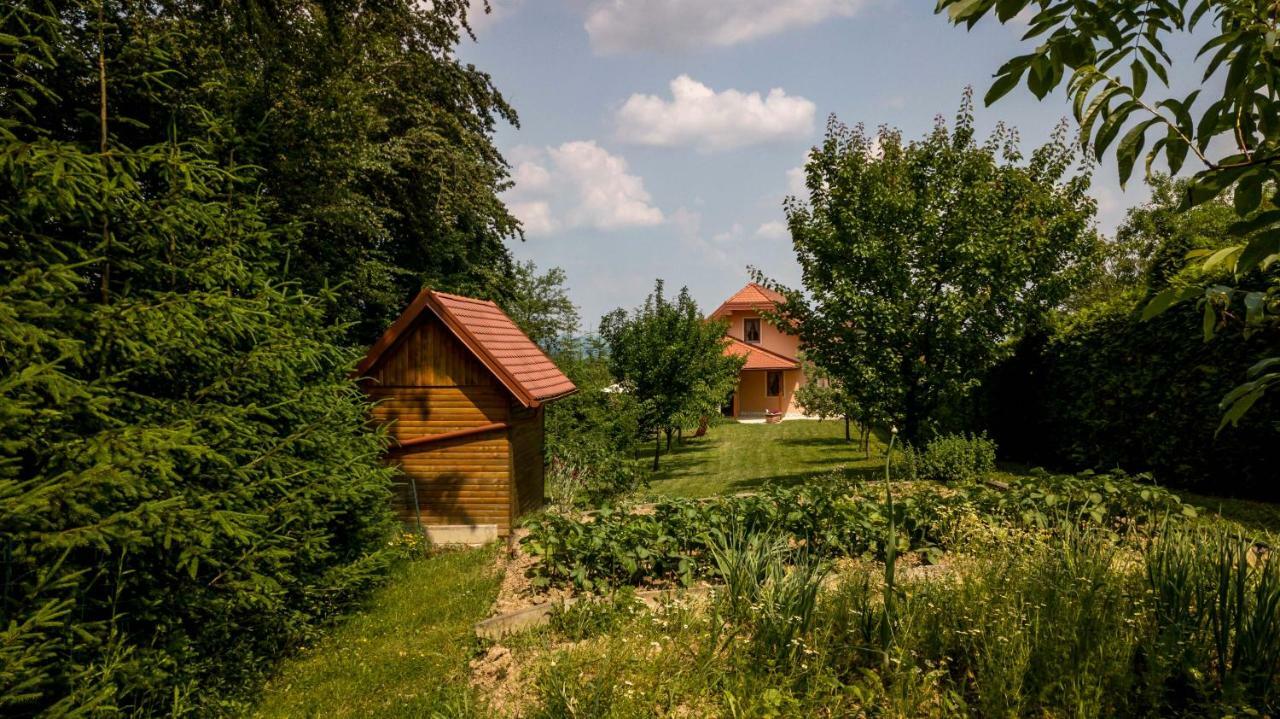Planinca -Hisa Z Razgledom Appartement Smarje pri Jelsah Buitenkant foto