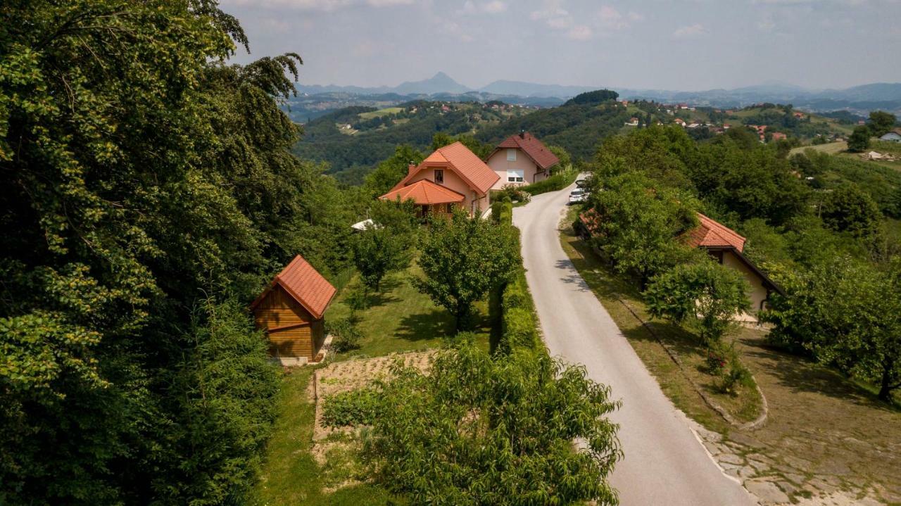 Planinca -Hisa Z Razgledom Appartement Smarje pri Jelsah Buitenkant foto