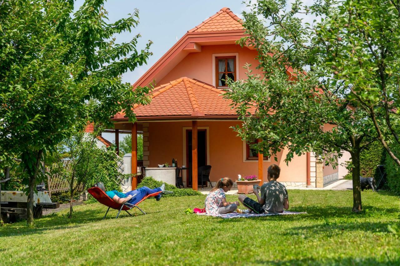 Planinca -Hisa Z Razgledom Appartement Smarje pri Jelsah Buitenkant foto